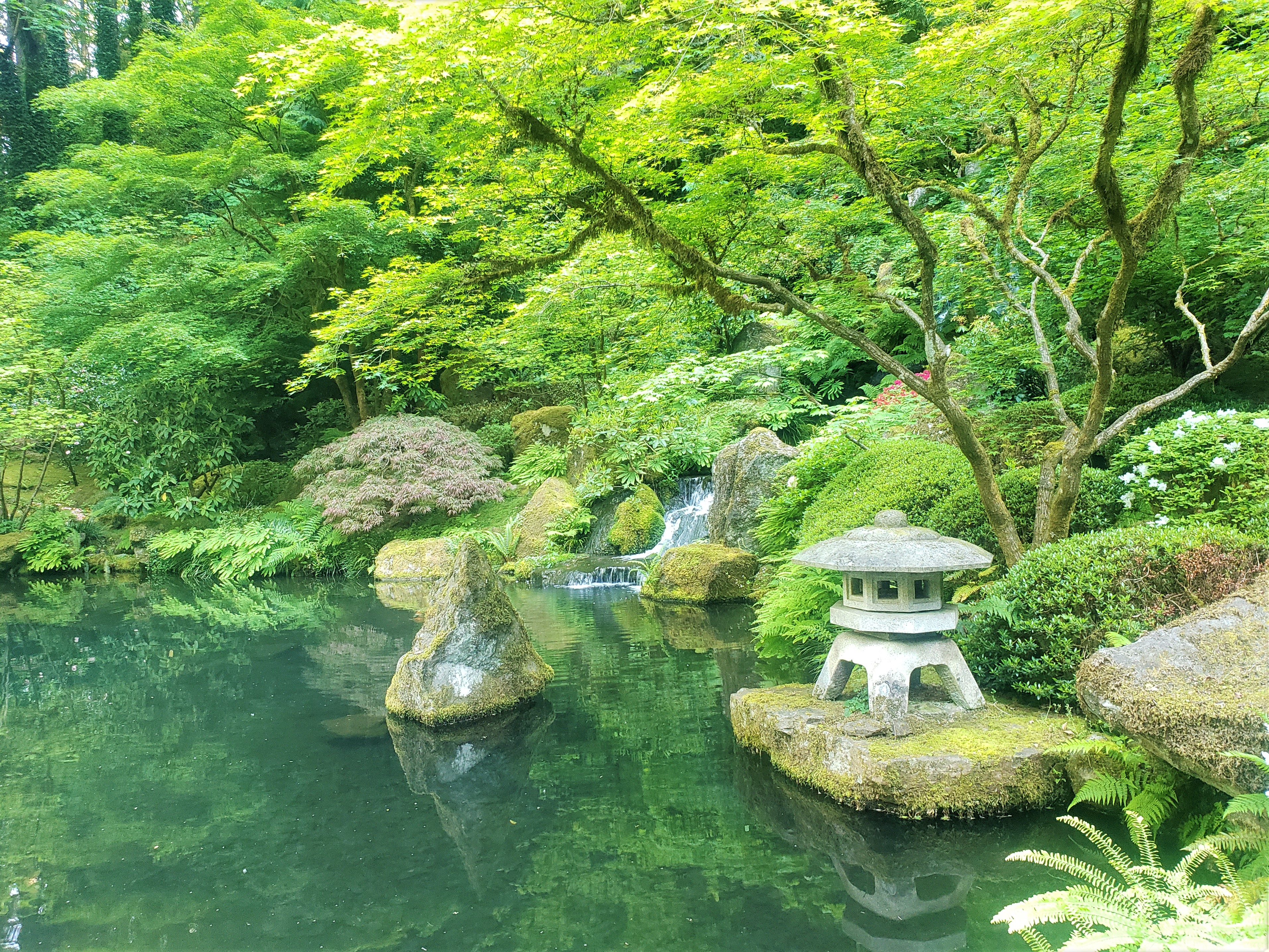 Stone lantern and waterfall in the Portland Japanese Gardens