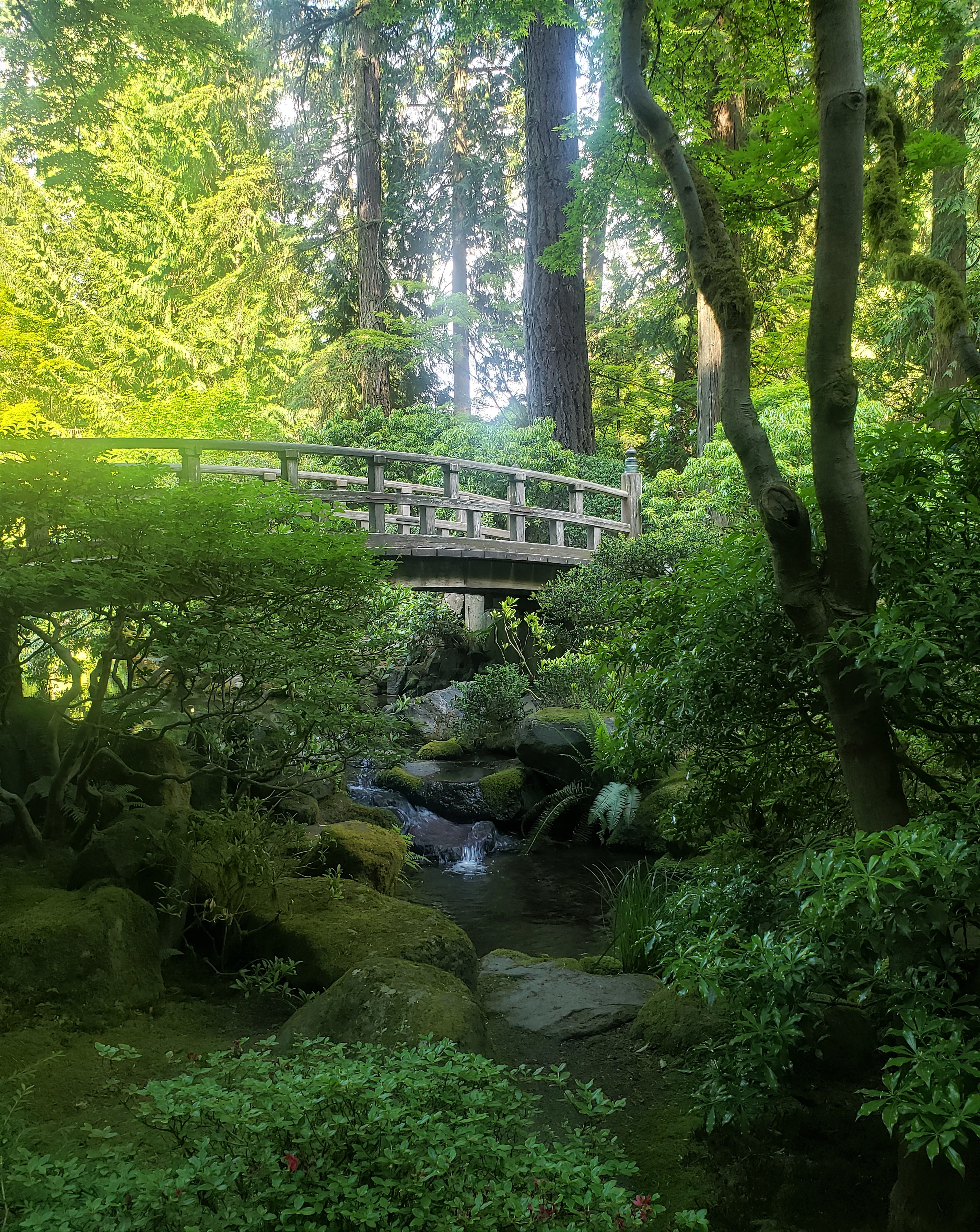 Symbolic bridge in the Portland Japanese Garden