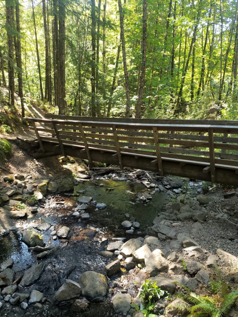 The bridge crossing onto the Mt. Defiance trail.