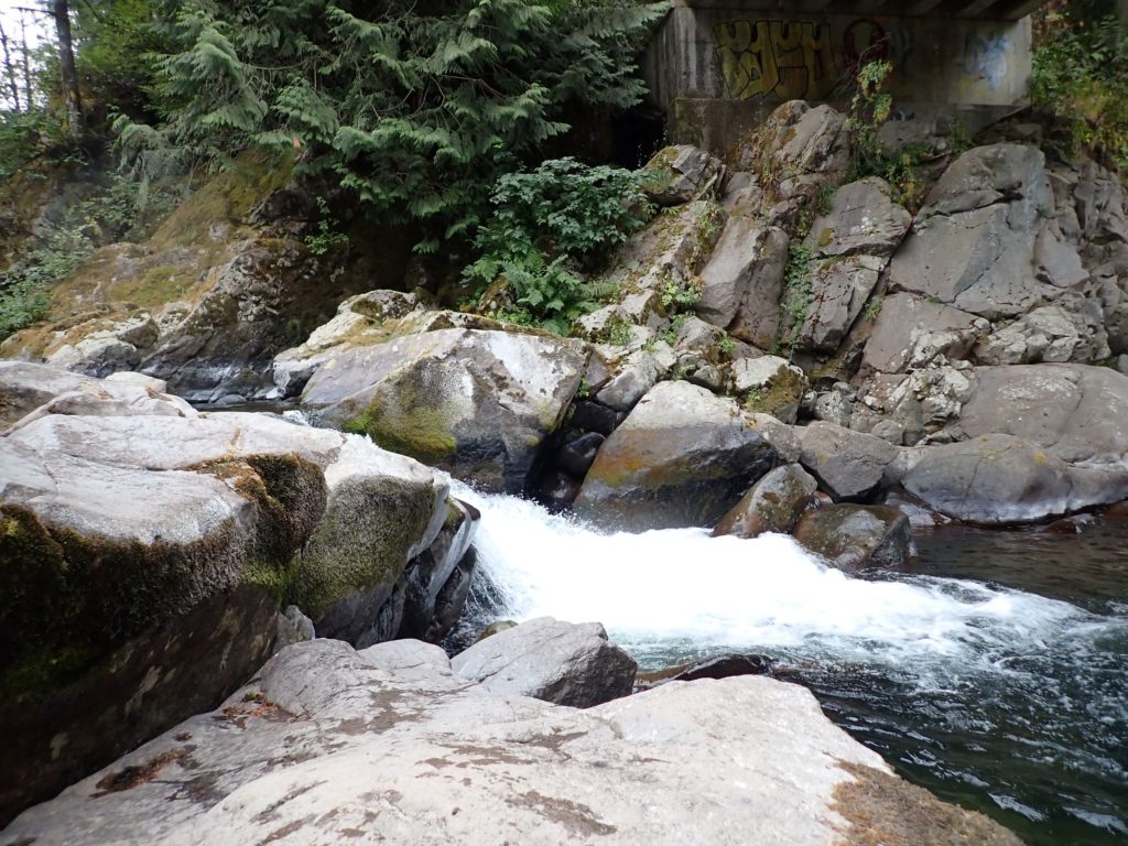 Rocks and small fall at Dougan Falls