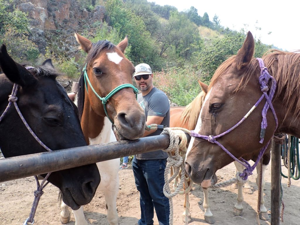 Getting the horses ready for our horseback adventure