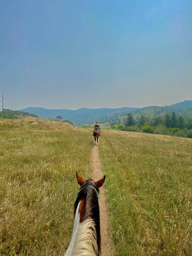 Flat section of the horseback tour