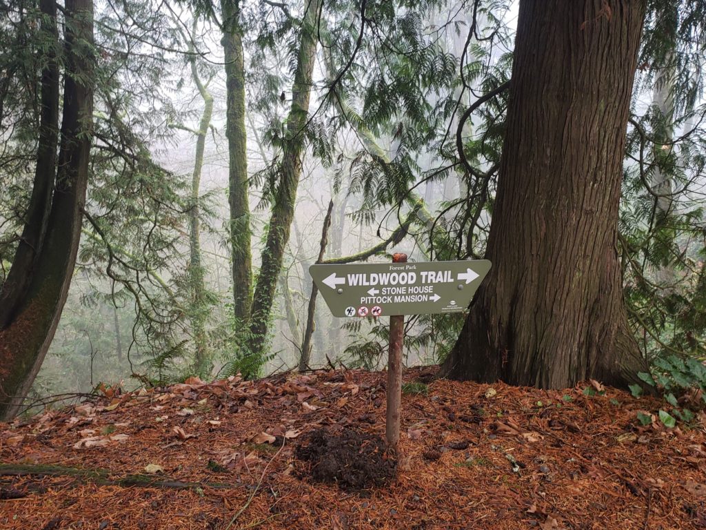 Sign to the Witch's Castle (Stone House) in front of foggy canyon