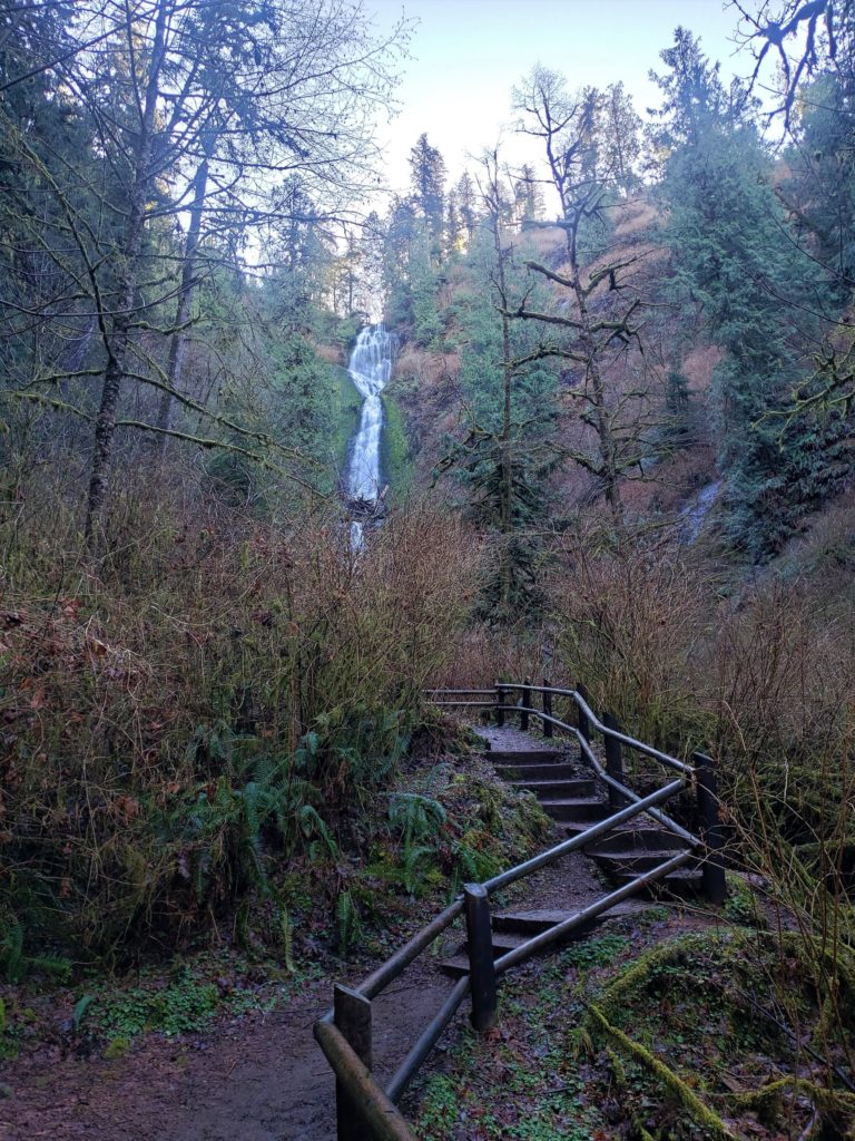 Wooden steps with handrail leading to Munson Creek Falls in the distance