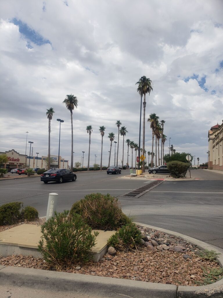 Road running through El Paso strip mall