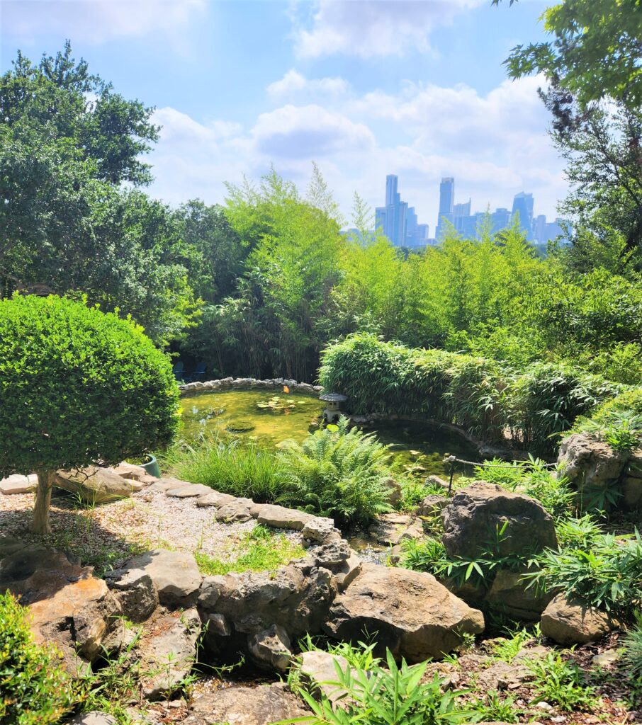 Austin cityscape as seen from the Japanese tea garden.