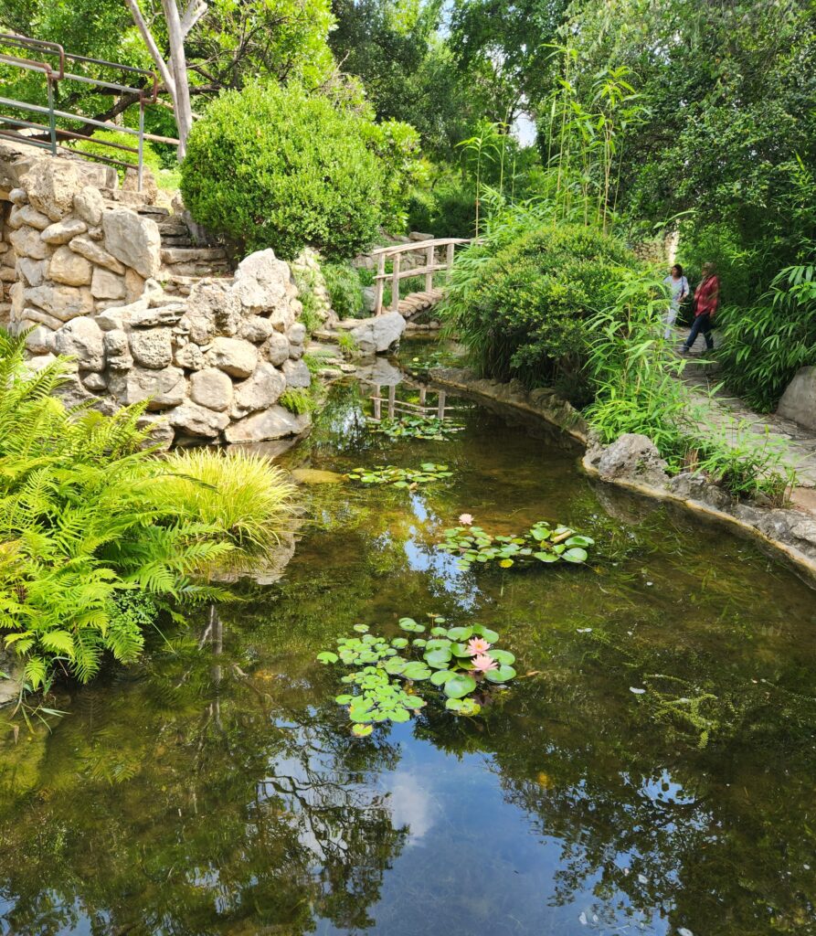 Bridge in Austin Japanese garden