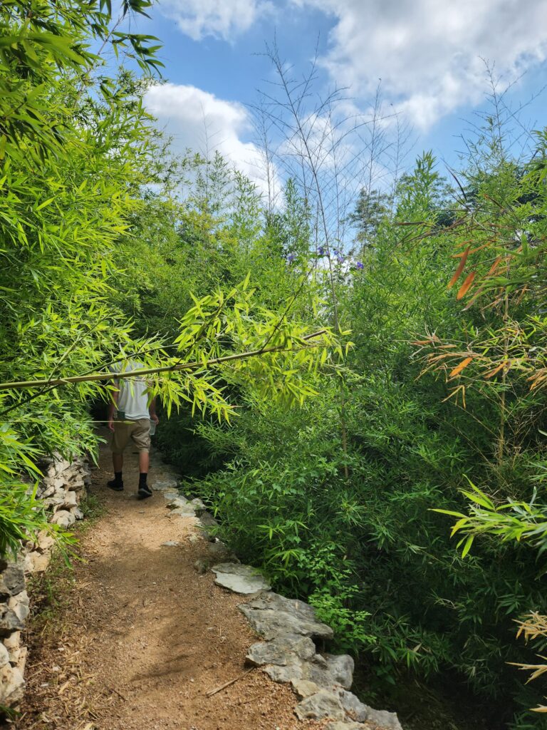 Path through Zilker Botanical Garden